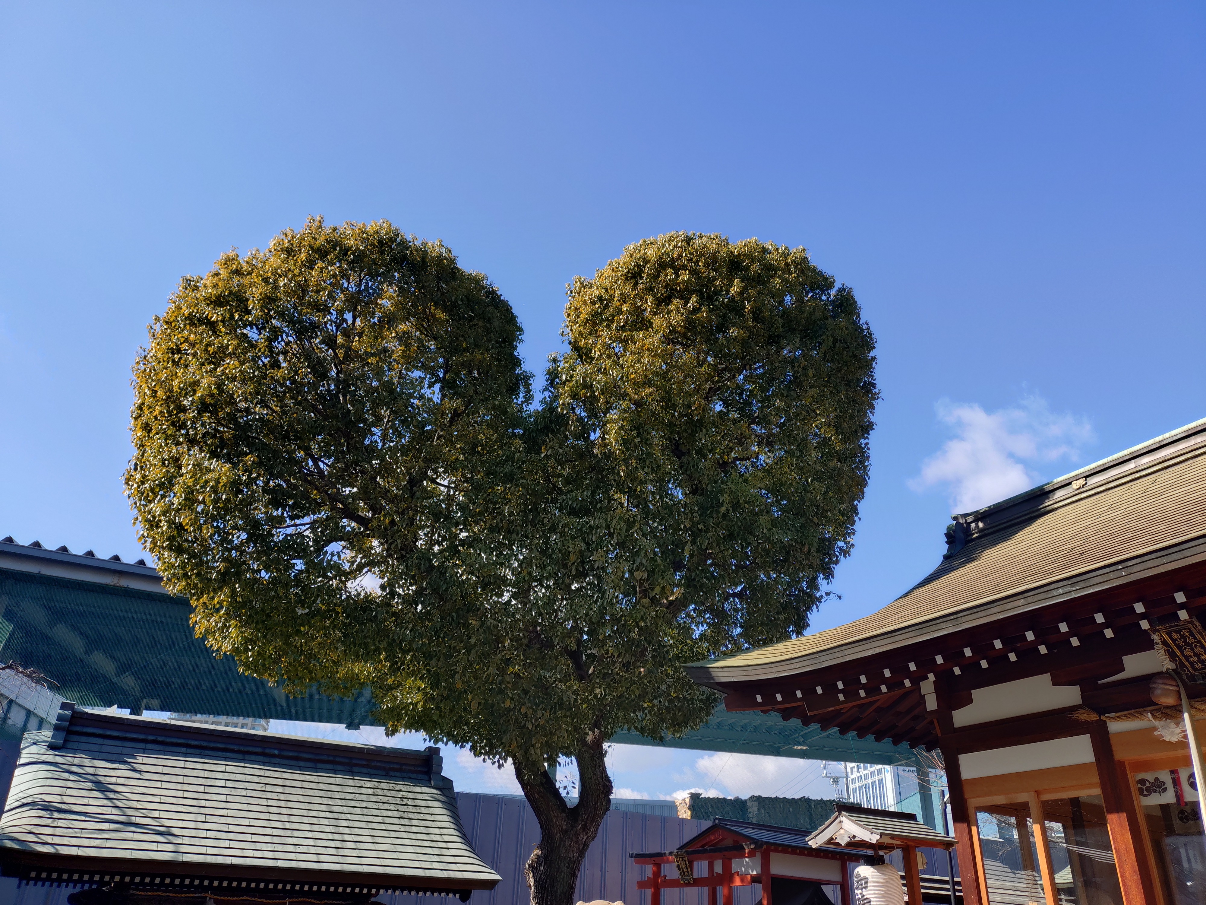 講習・研修実施計画をお知らせします