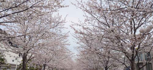 更新講習・更新研修の申込を開始しました