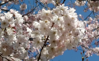 登録標識･路面標示基幹技能者講習の実施について(2026年7月実施分)